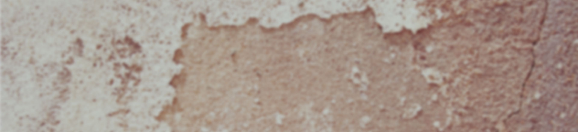 在线手机号轰炸